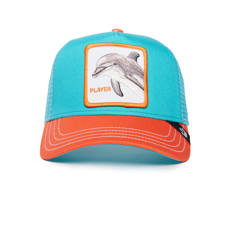 Dolphins Fan