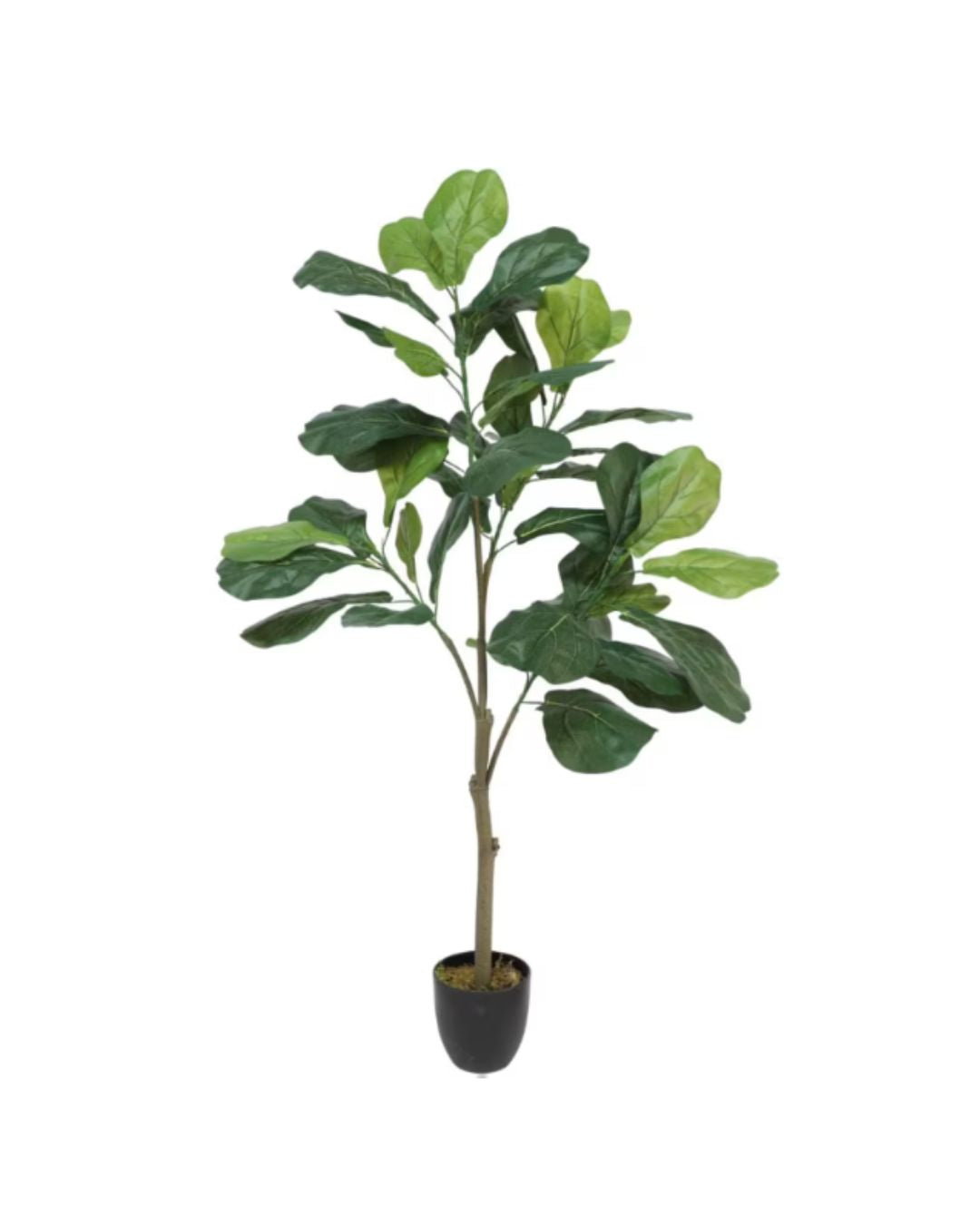 Fiddle Leaf Fig Faux Plant