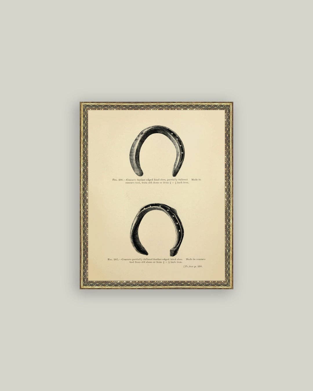 Horse Shoe Study: 5x7