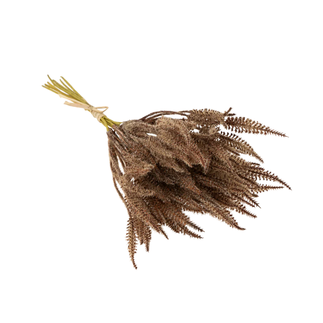 Mini Pampas Grass Bundle- Brown