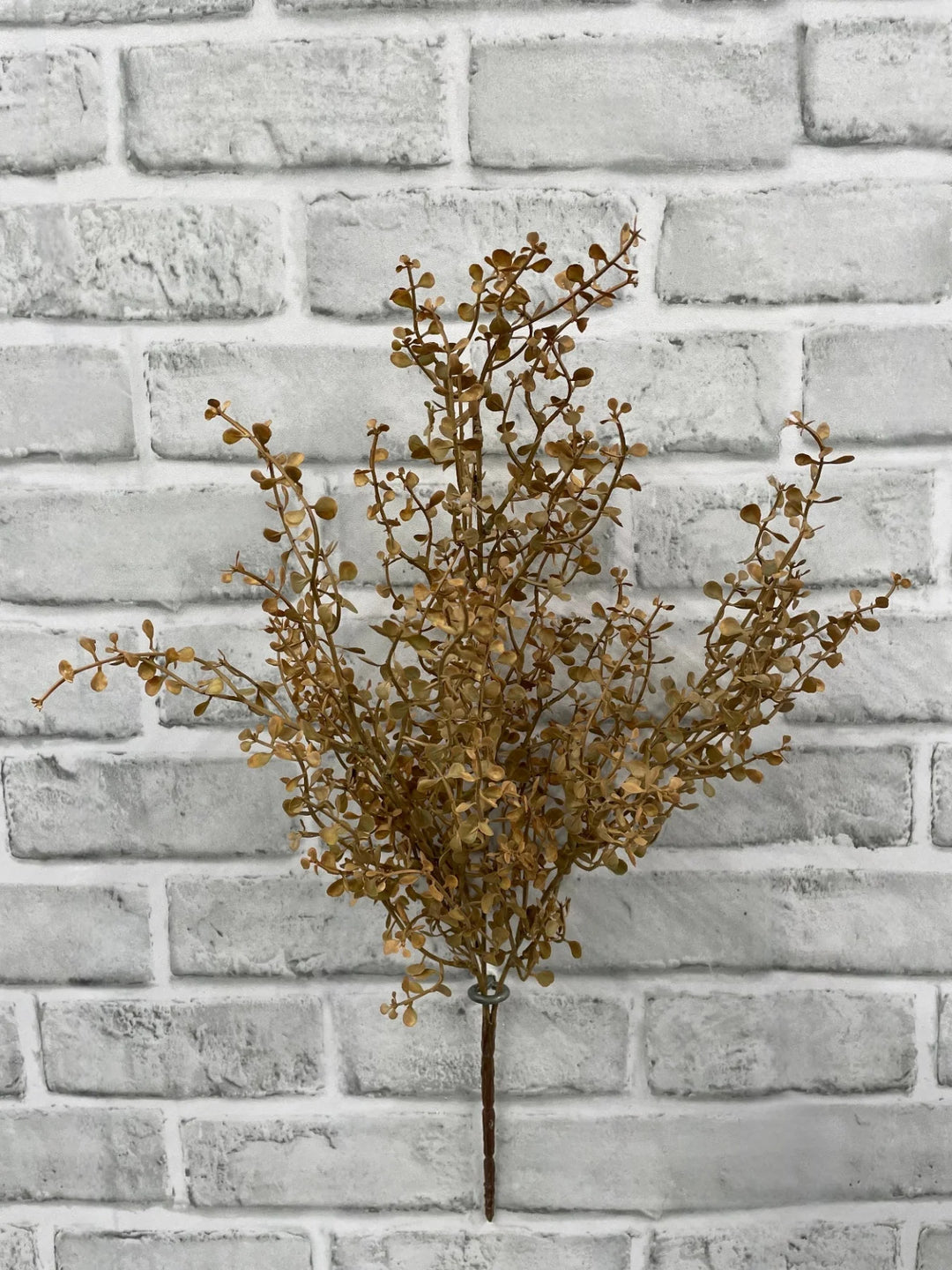 20" Fall Cream Baby Tears Bush