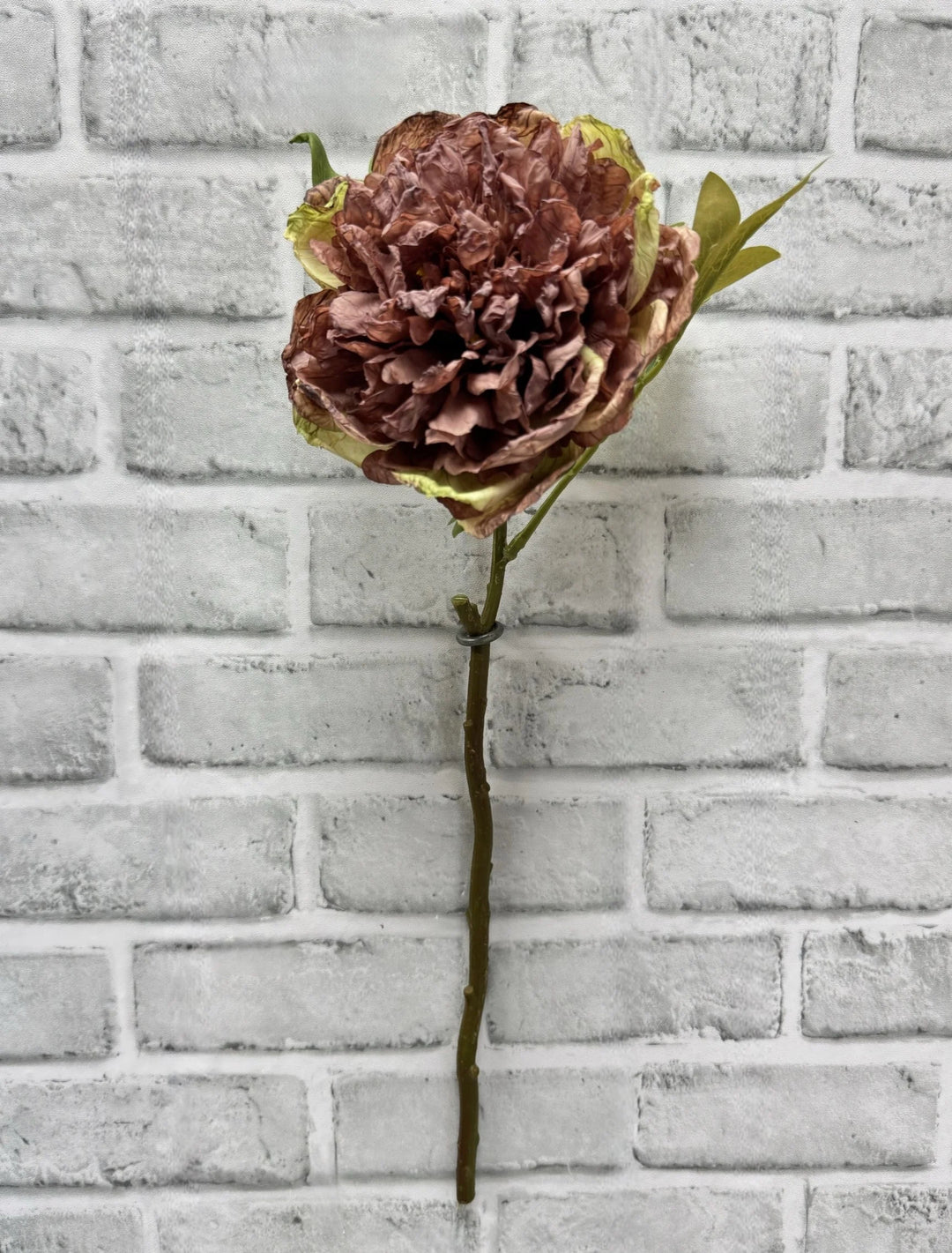 19.5" Rose Dried Look Open British Peony