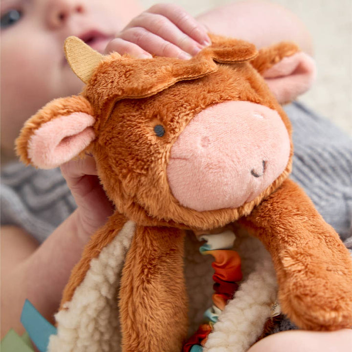 Itzy Friends Lovey™ Plush: Wyatt The Highland Cow