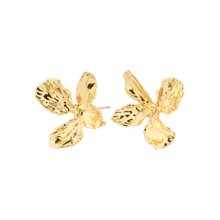 Dream Earrings - Gold
