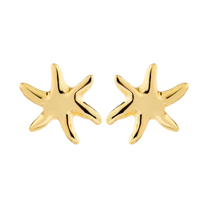 PRISM earrings