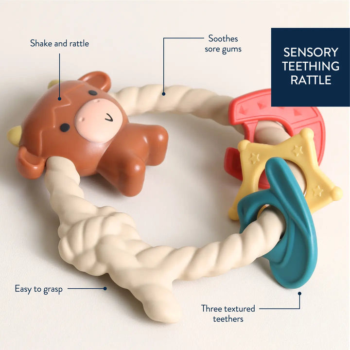 Ritzy Rattle Silicone Teether Rattles