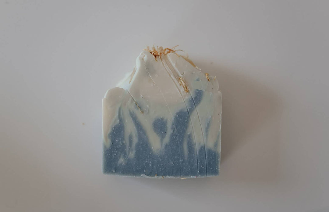Lake Life Soap Bar