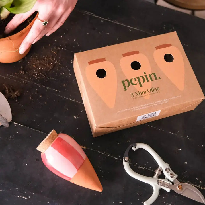 Box Trio Mini Ollas - the Striped