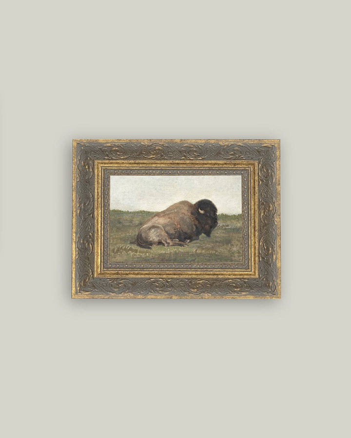 Resting Bison Framed Antique Art: 12x16