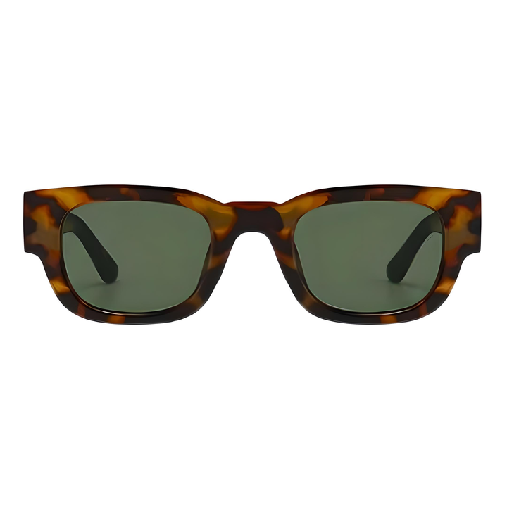 Shady Lady - FRANKIE TORTOISE