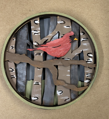 Bird Shadow Box Kit