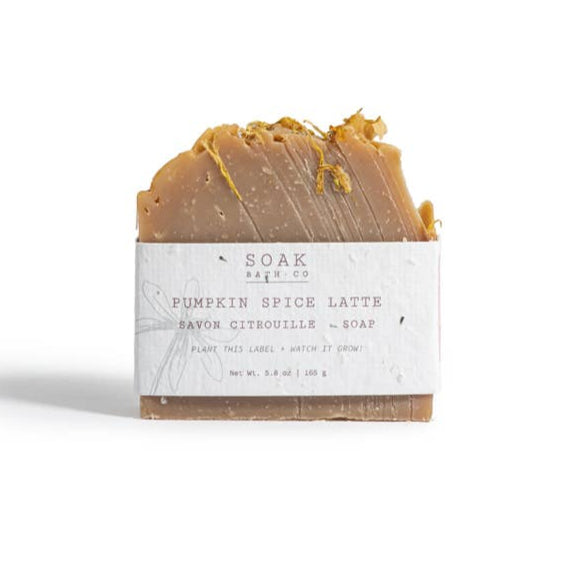 Pumpkin Spice Soap Bar