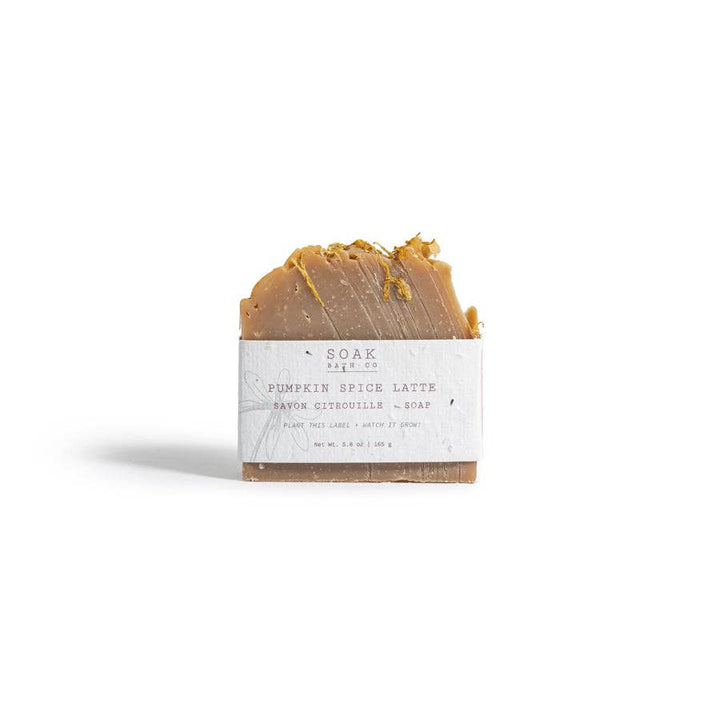 Pumpkin Spice Latte Soap Bar
