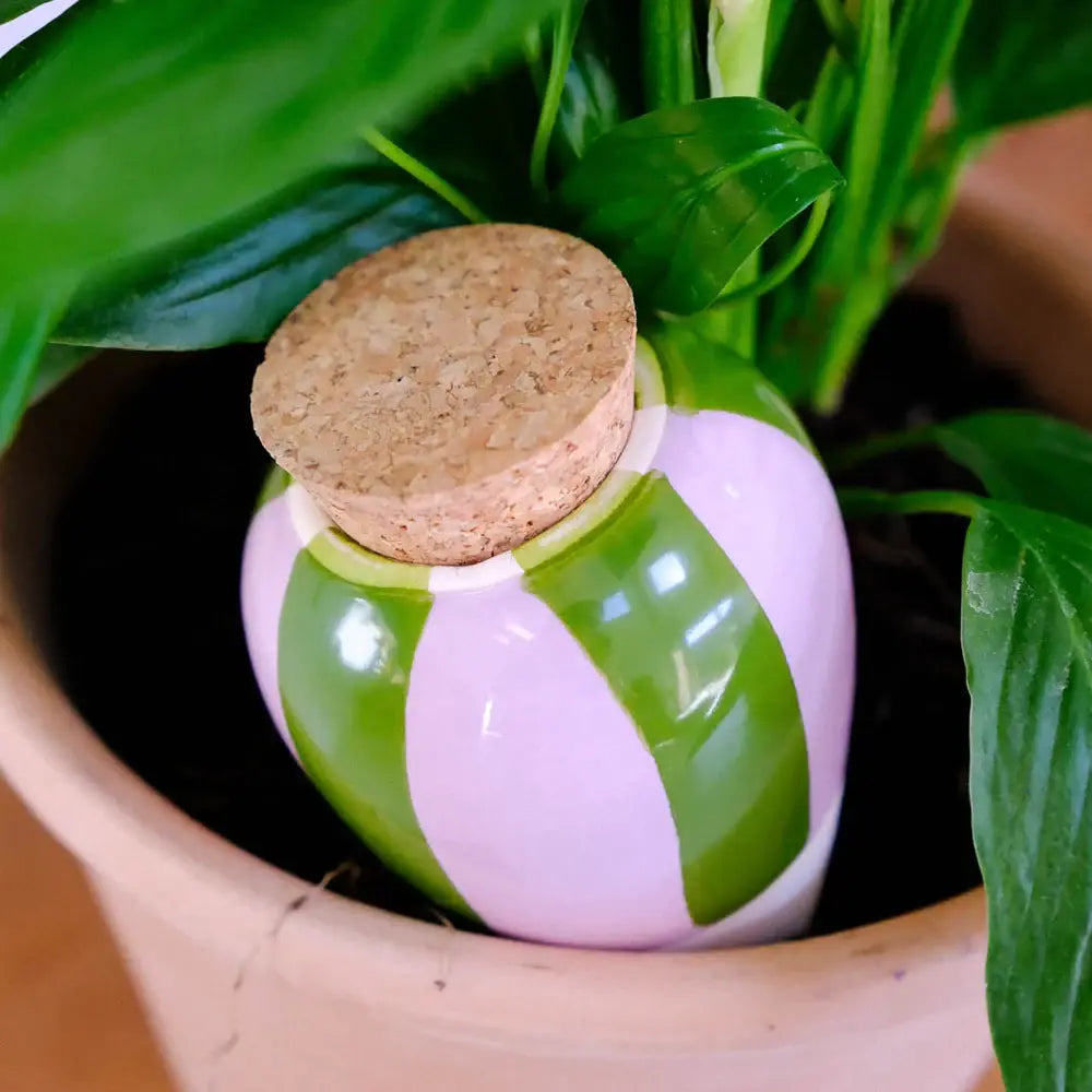 Olla -  Green and lilac stripes