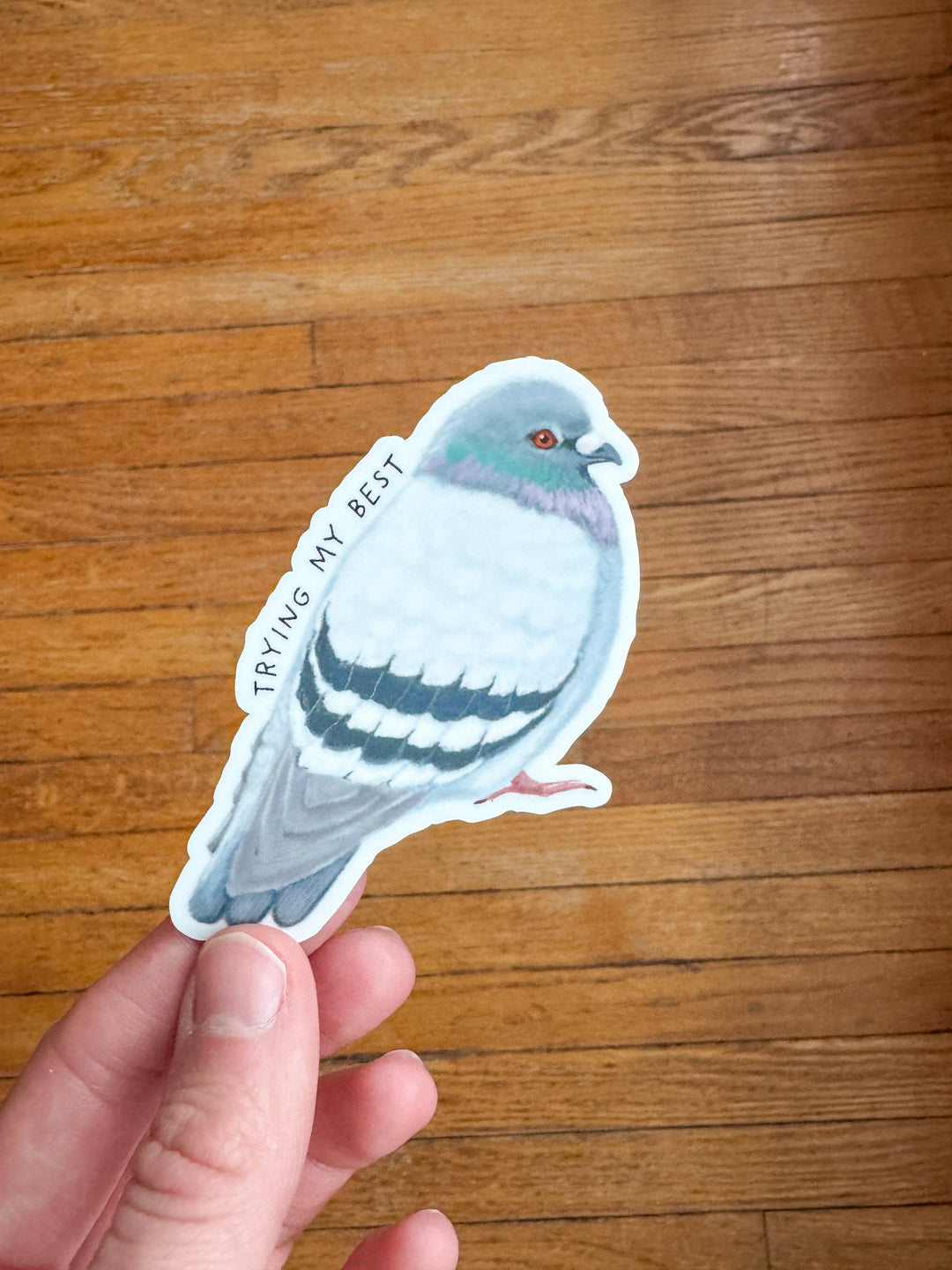 Trying My Best Pigeon Sticker: Without Backer Card