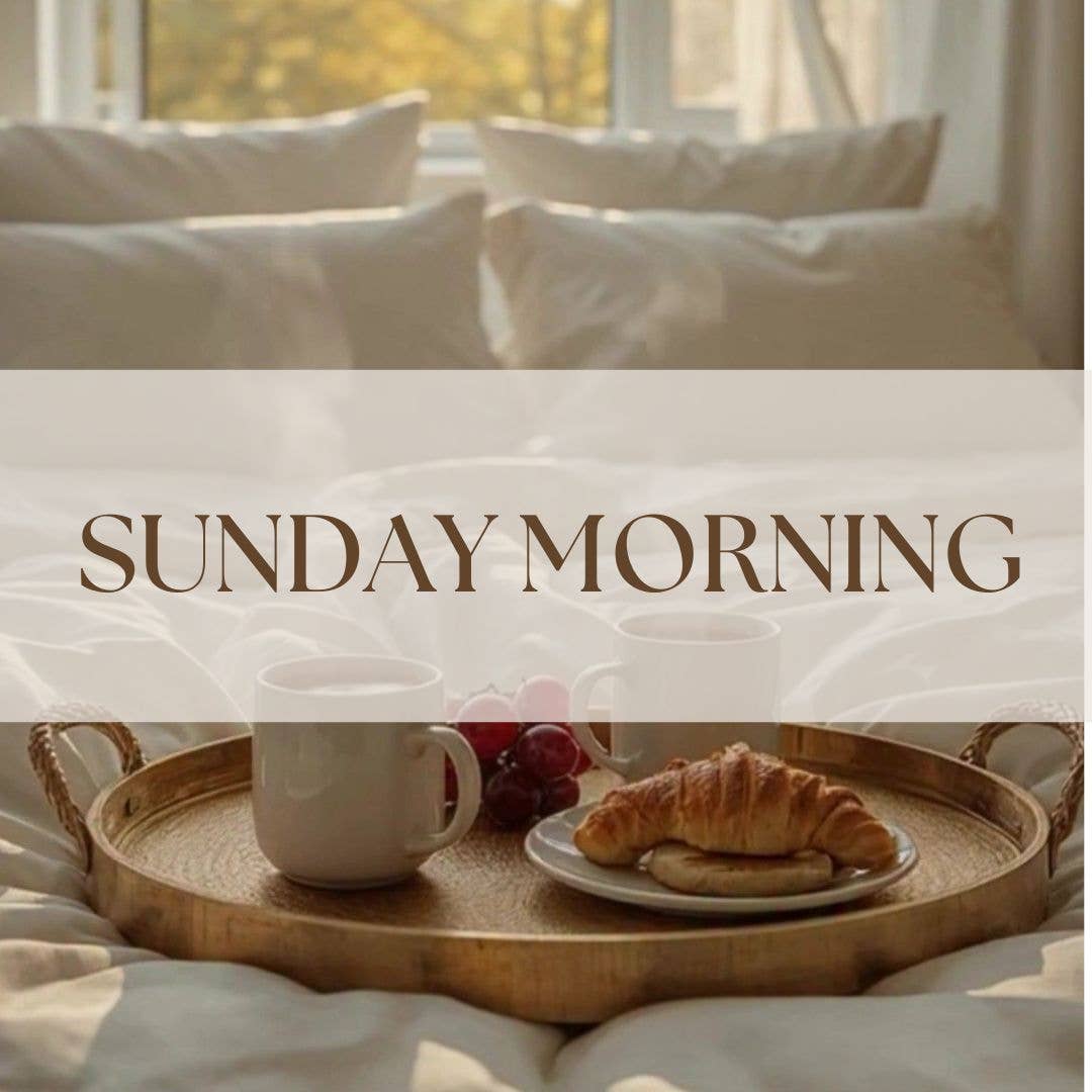 SUNDAY MORNING | NON TOXIC VENT CLIP CAR DIFFUSER