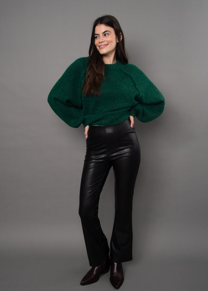 Fabiana Stretch Faux Leather Pant