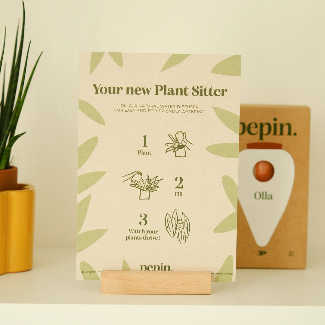 Olla - Mustard yellow