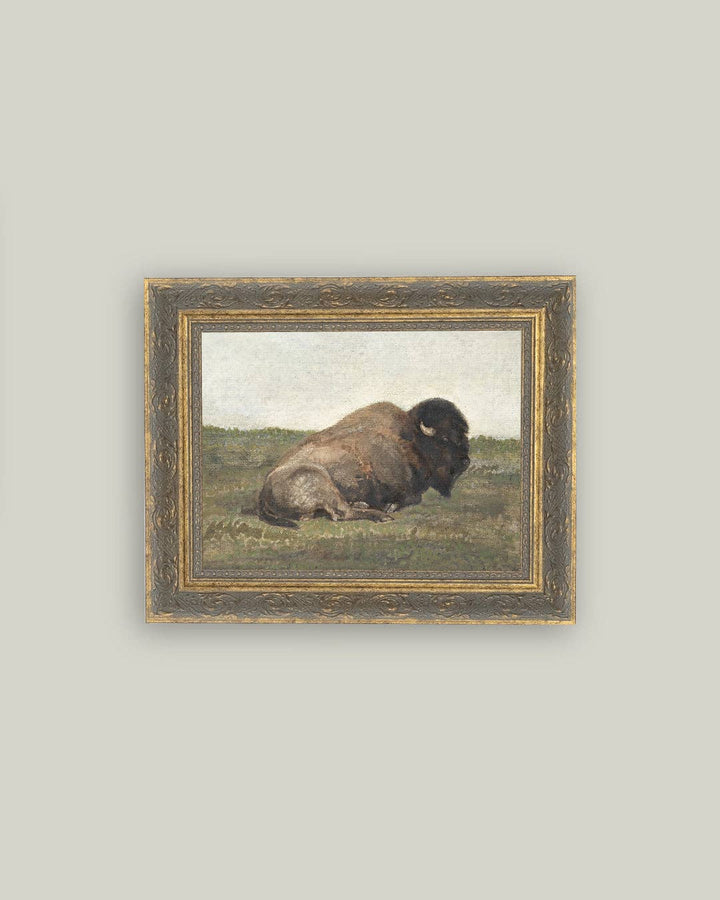 Resting Bison Framed Antique Art: 12x16