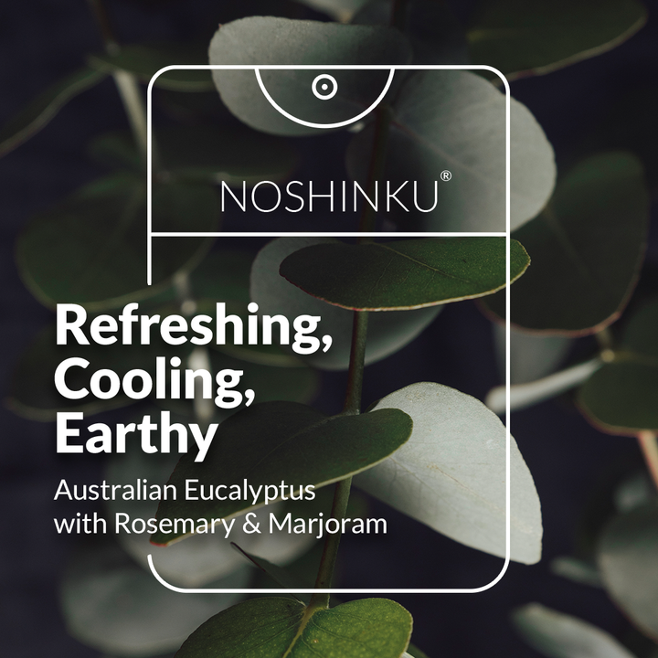 Eucalyptus Moisturizing Pocket Hand Sanitizer