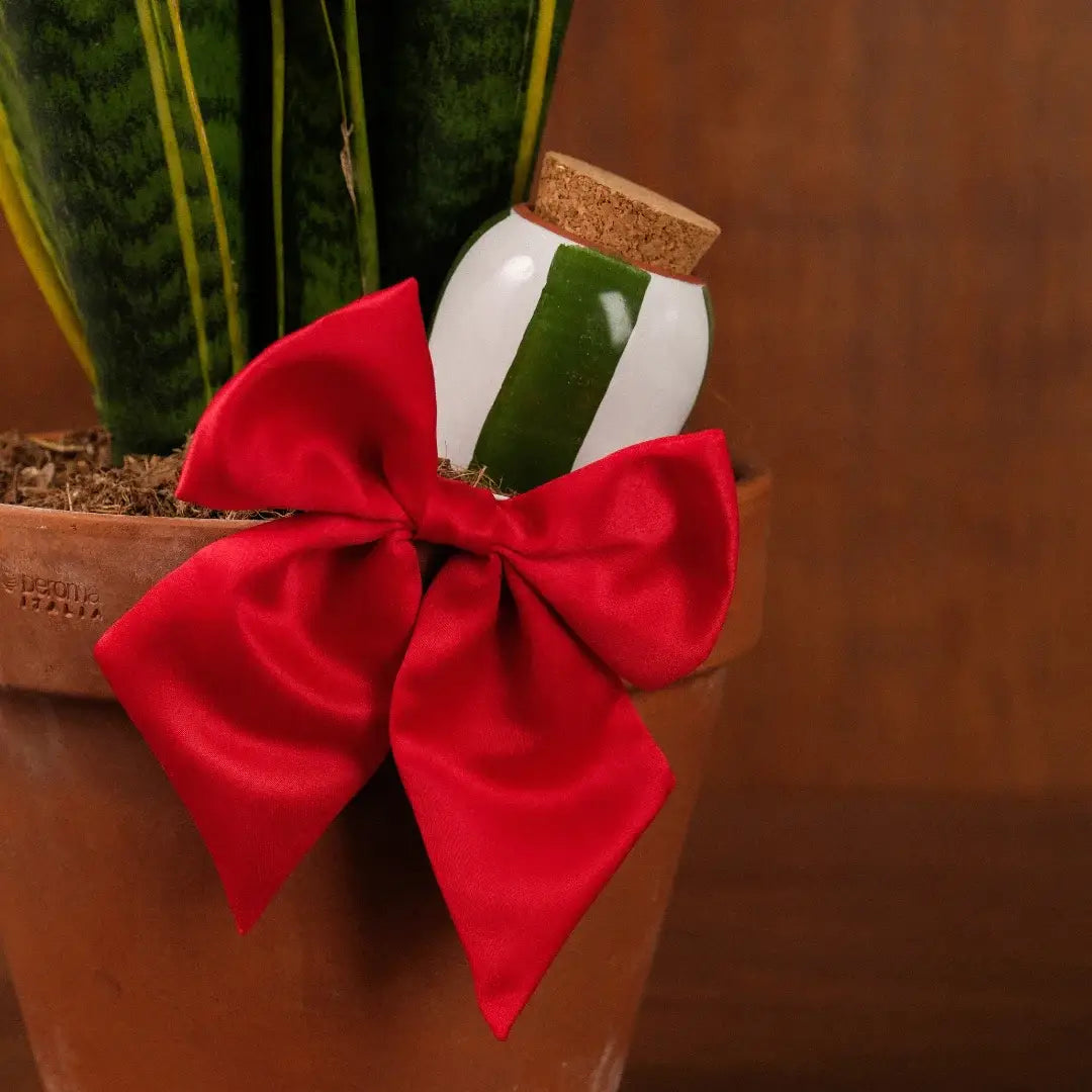 Limited Christmas Edition – Pink and red striped Olla 🎄