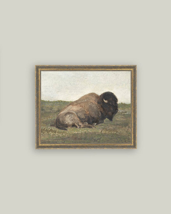 Resting Bison Framed Antique Art: 12x16