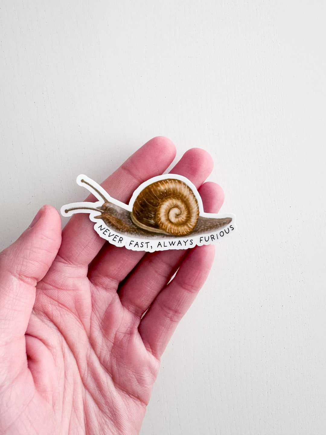 Never Fast Always Furious Snail Vinyl Sticker: Without Backer Card