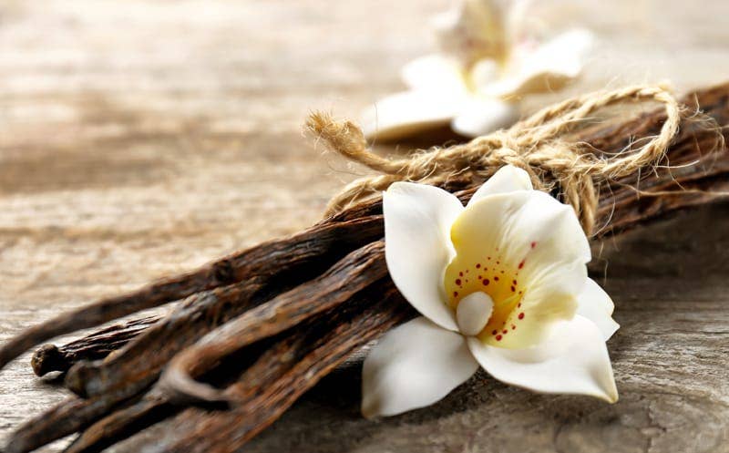 Warm Vanilla Drive Scent Refill