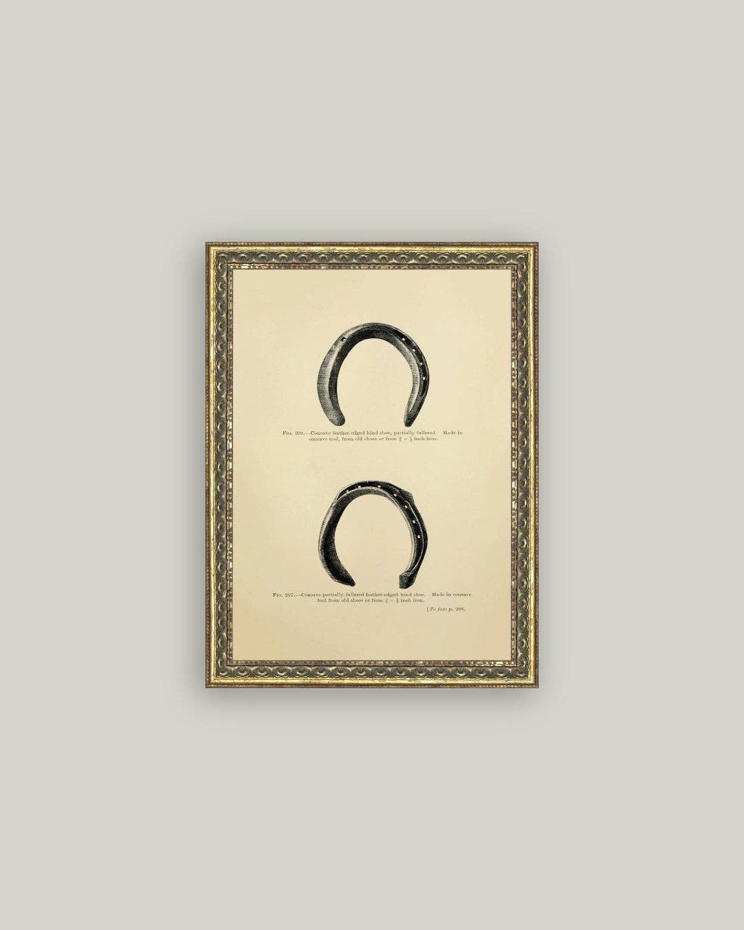 Horse Shoe Study: 5x7