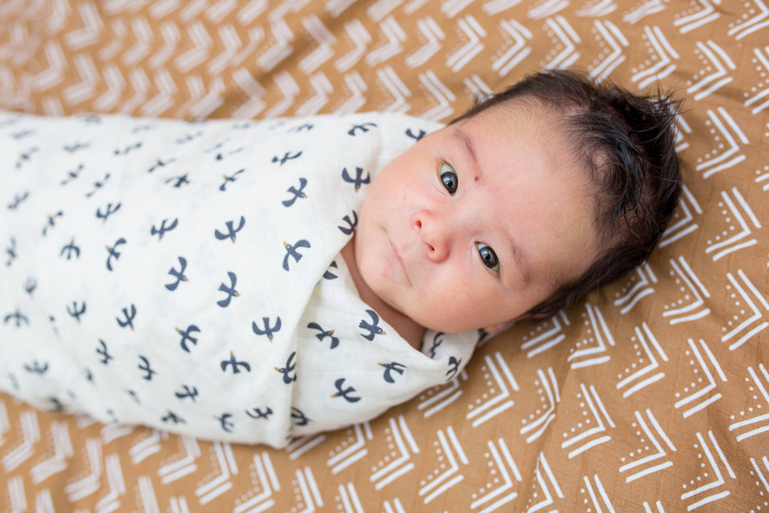 2-Pack Cotton Swaddle Blankets – Blackbirds & MudCloth