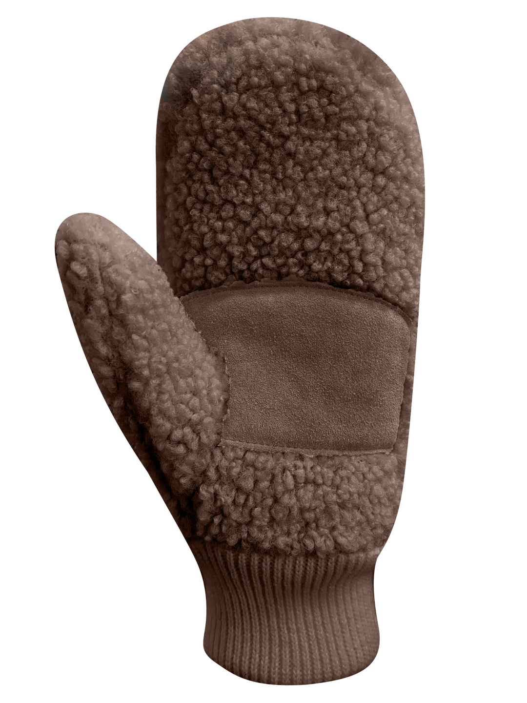 Autumn Women's Brown Mittens