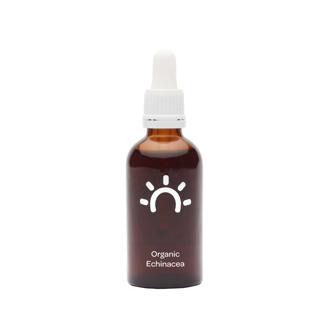 Organic Echinacea