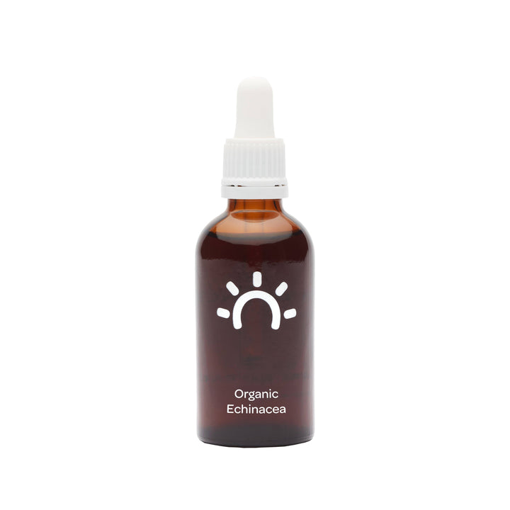 Organic Echinacea