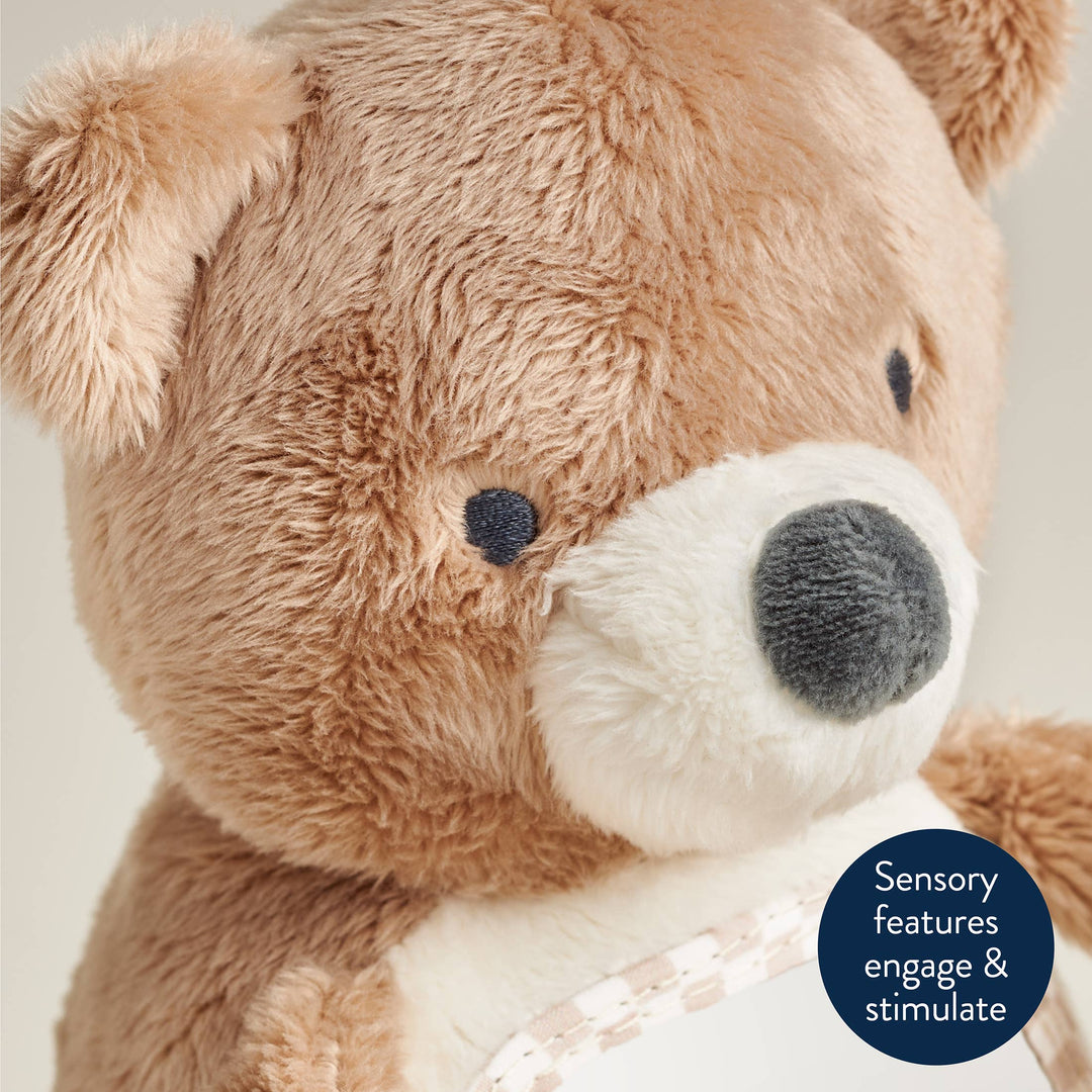 Itzy Bitzy Mirror™ - Theo the Bear