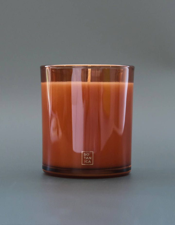 Holiday Candle: Harvest Pumpkin, 12 oz.