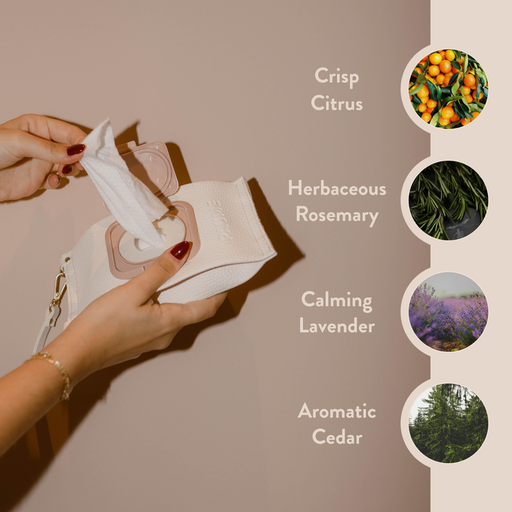 Cleansing Hand and Body Wipes