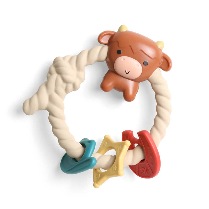 Ritzy Rattle Silicone Teether Rattles