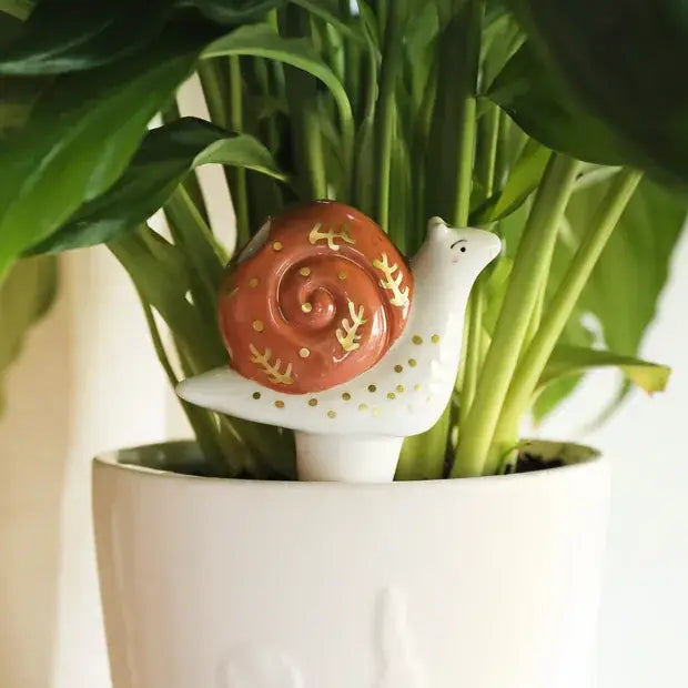 Snail Plant Waterer