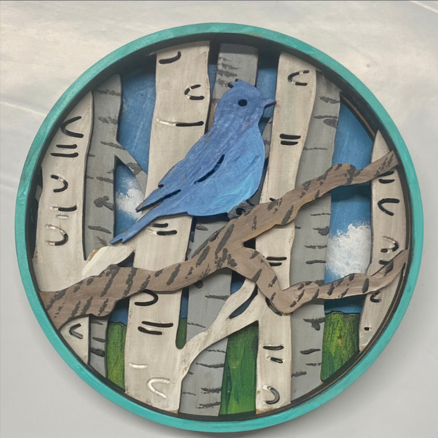 Bird Shadow Box Kit