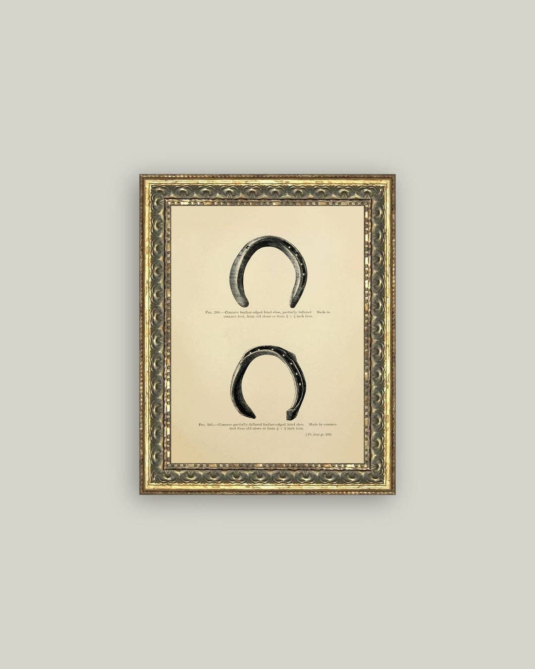 Horse Shoe Study: 5x7