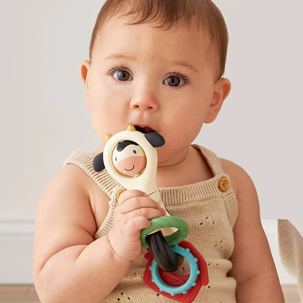 Itzy Spinner- Toy + Teether