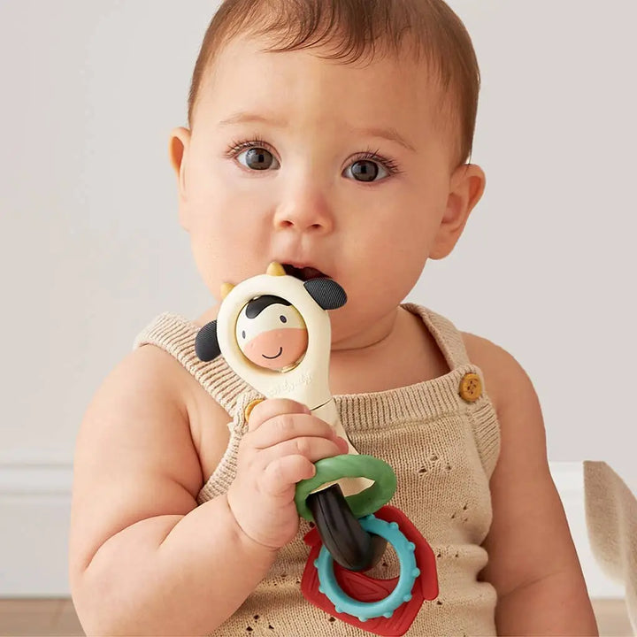 Itzy Spinner- Toy + Teether