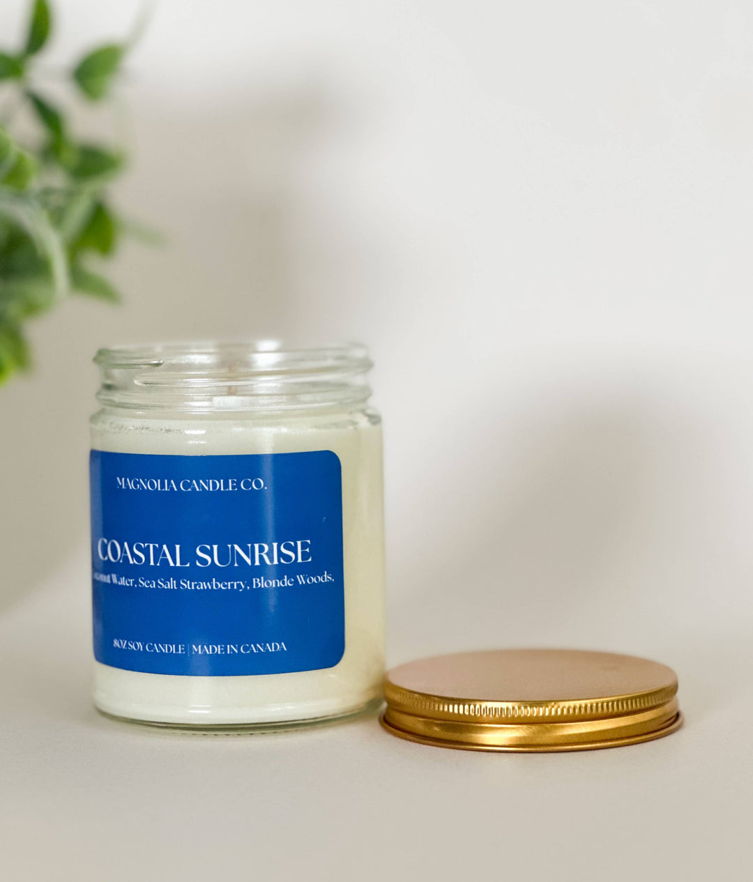 Coastal Sunrise 8 oz Candle