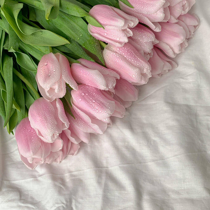 Clean Laundry Push Scent Refill