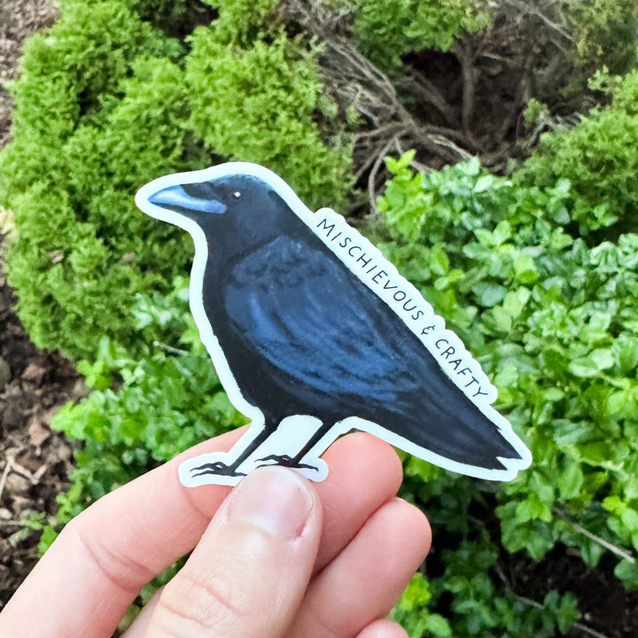 Mischievous & Crafty Crow Sticker: Without Backer Card
