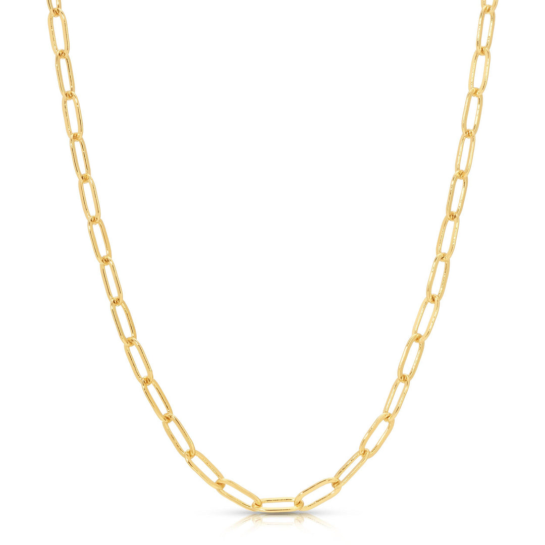 Charm Garden - Gold Paperclip Chain (18-20 in)