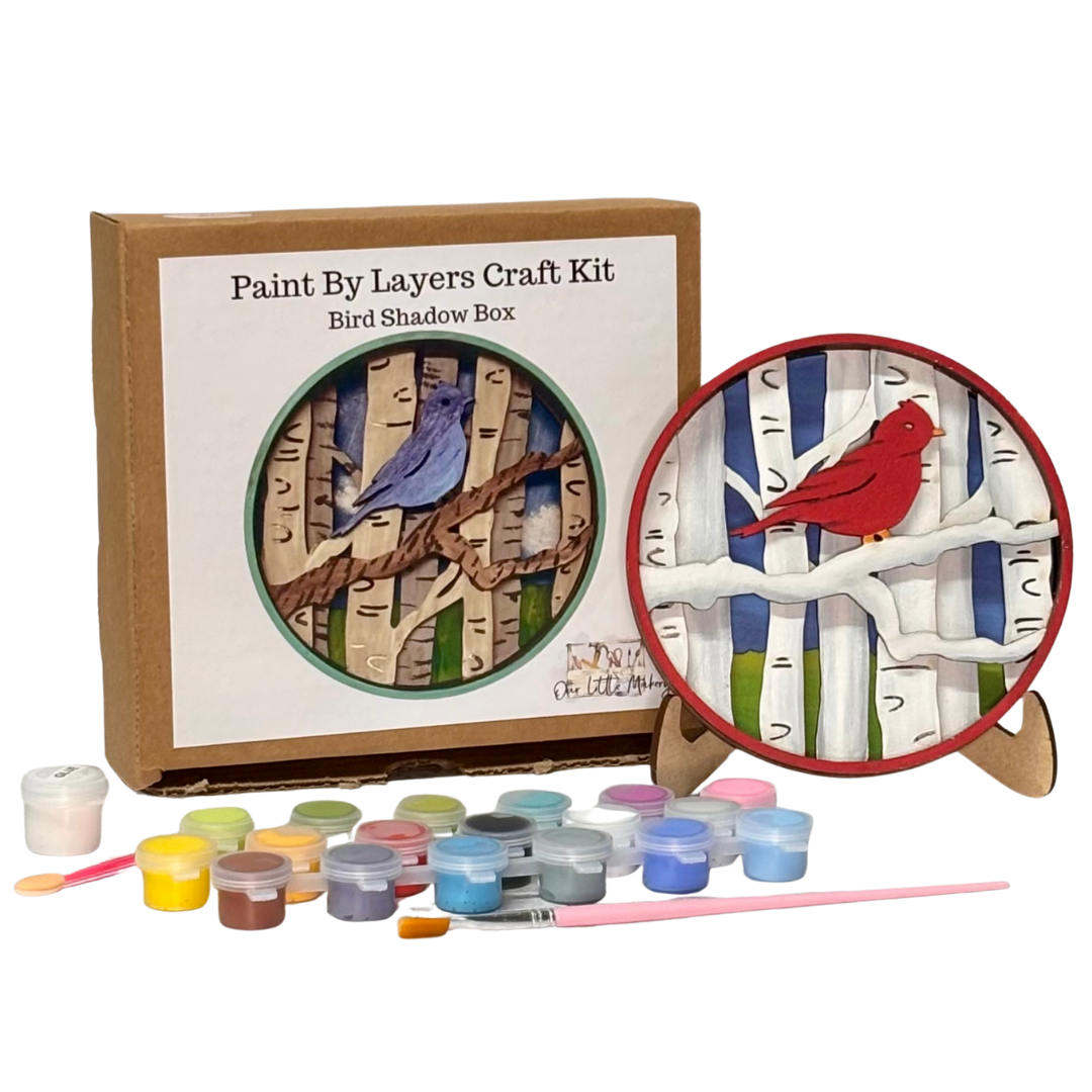 Bird Shadow Box Kit