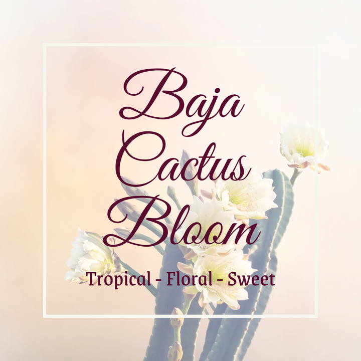 Baja Cactus Bloom Foaming Soap: 250ml