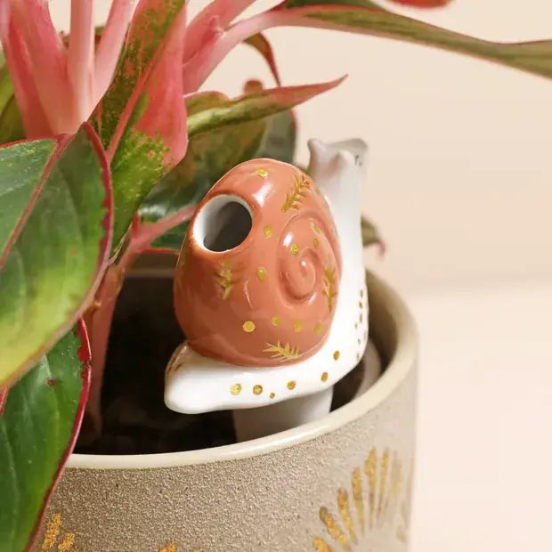Snail Plant Waterer