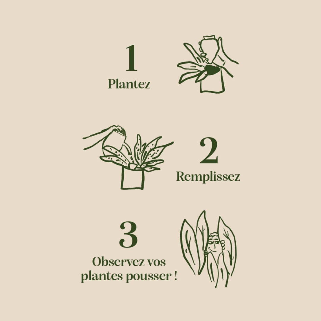 Olla - Speckled White